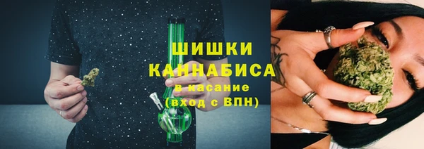 соль ск Няндома