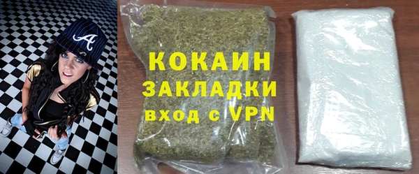 соль ск Няндома