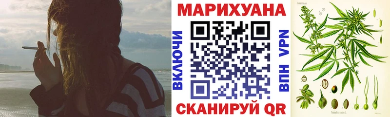 Бошки марихуана сатива  продажа наркотиков  Чехов 